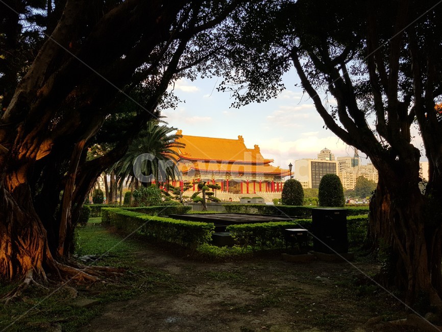 중정기념당,대만,지붕,그림자,유적지,나무,역광,plant,roof,sturcture,asia,taiwan,monumental,light,shadow,해외,건축물,궁,palace