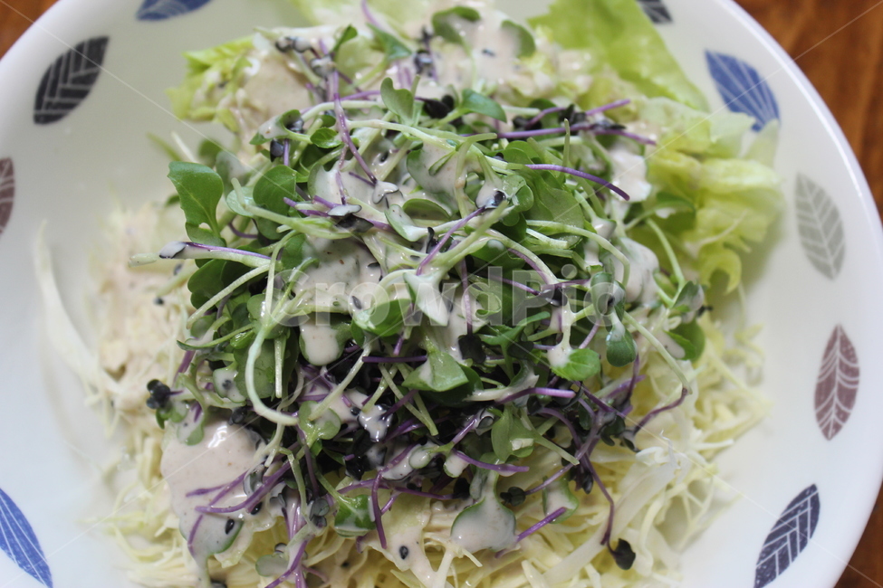 야채,vegetable,샐러드,food,음식,요리