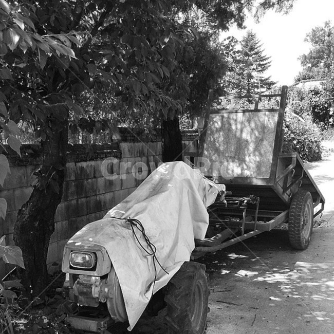 farm equipment,Country sensibility,countryside,black and white photography,farming,shade,Grandmothers house,Grayscale,tiller