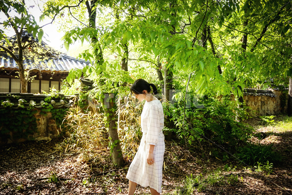 민속촌,여름,숲,나무,산책,자연,자연,풍경,nature,landscape,한국전통,한국문화,korean traditional,korean culture,사람,인물,인간,human,person,여성,여자,woman,female,lady,garden,정원,outdoors,옥외,arbour,정자