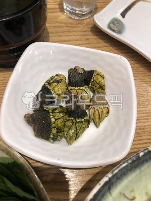 seafood,turtle hand,shellfish,arthropod,food