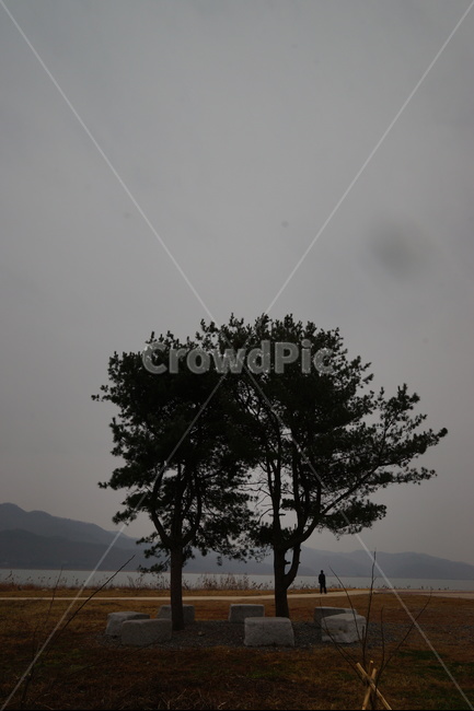 나무,가을,비,가을비,스산한,가을,계절,fall,autumn,season,자연,풍경,nature,landscape,한국자연풍경,한국자연경관,korea nature landscape,식물,plants,나무,trees,wood,outdoors,옥외