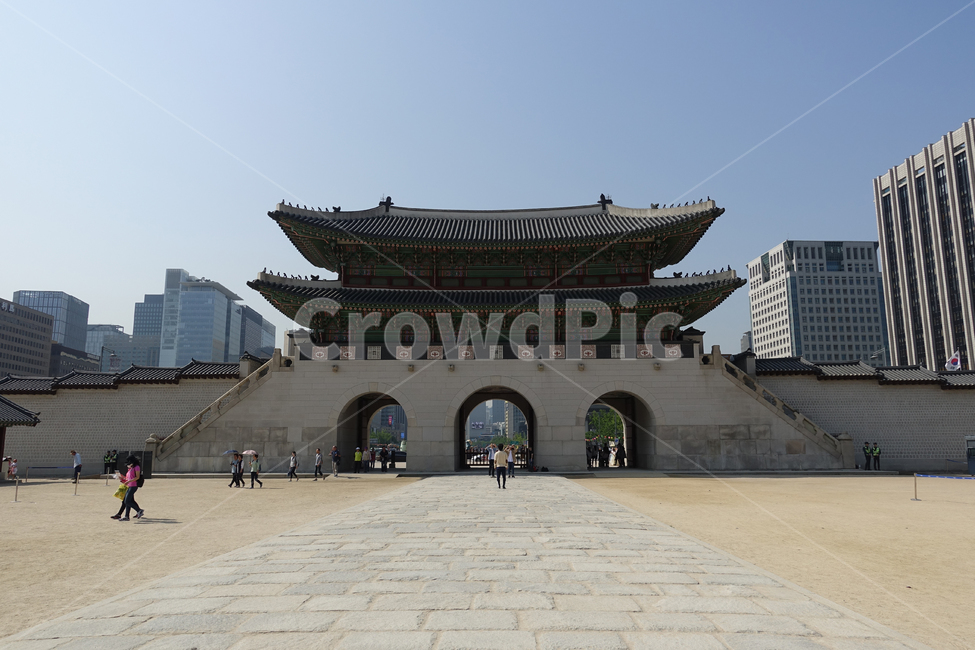경복궁,한옥,한국,풍경,연못,궁,한국궁