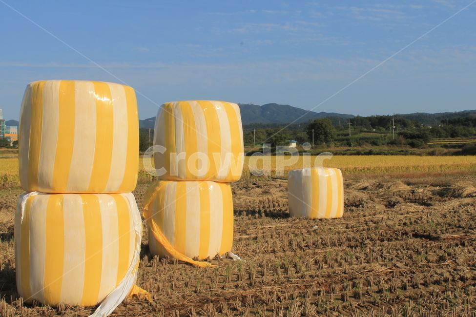 볏단,볕짚,건초,haybale,haystack,hayrick,건초더미