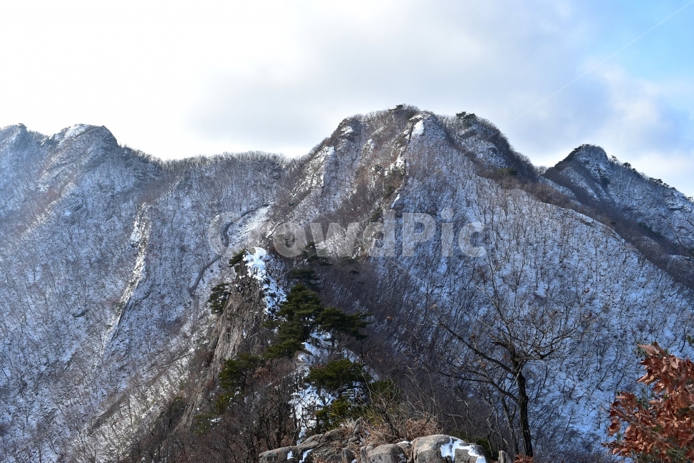 계룡산,국립공원,겨울,풍경,설경,산행,Korea,Nationa,Park,눈풍경,눈,자연,스포츠,등산,nature,snow,느낌,아름다운,신비로운,경이로운,다큐,필,힐링,명산landscape,winter,season,자연성릉,암릉,능선,비경,겨울,계절,winter,season,자연,풍경,nature,landscape,한국자연풍경,한국자연경관,korea nature landscape,outdoors,옥외,mountain,산,mountain range,산맥