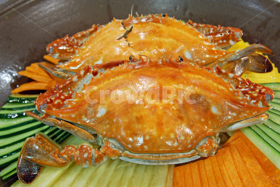 꽃게,게,게찜,꽃게찜,갑각류,음식,찜,요리,해산물,해물,씨푸드,크랩,껍질,음식,식재료,요리,food,cook,meal,dishes,food reserves,수산물,해산물,fishery products,seafood