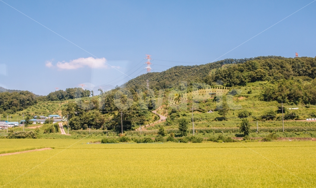 시골,농촌,논,하늘,구름,풍경,벼,초록,가을,korea,sky,landscape,자연,풍경,nature,landscape,시골,마을,country,rural,town,감성,sensible,feeling,outdoors,옥외,field,들,grassland,목초지