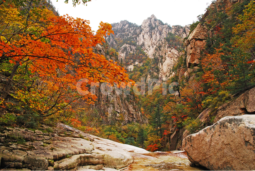 가을,설악산,천불동계곡,단풍,가을배경,능선,국립공원,풍경,한국풍경,한국자연경관,가을산,nature,자연,outdoors,옥외,seoraksannationalpark,봉우리,산정상,nationalpark,산,maple,강원도,배경,바탕,백그라운드,background,fall,autumn,season,시즌,계절,plant,tree,10월,계곡,mountain,outdoor,골짜기,가을,계절,fall,autumn,season,자연,풍경,nature,landscape,식물,나무