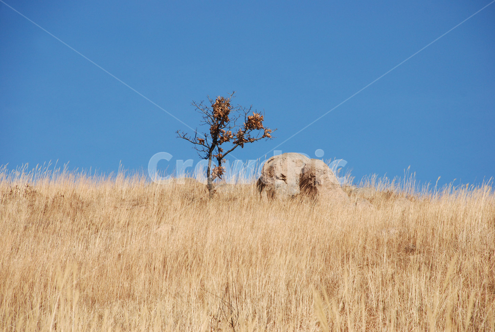 화왕산,정상,창녕,산,등산,갈대,자연,nature,하늘,sky,하늘색