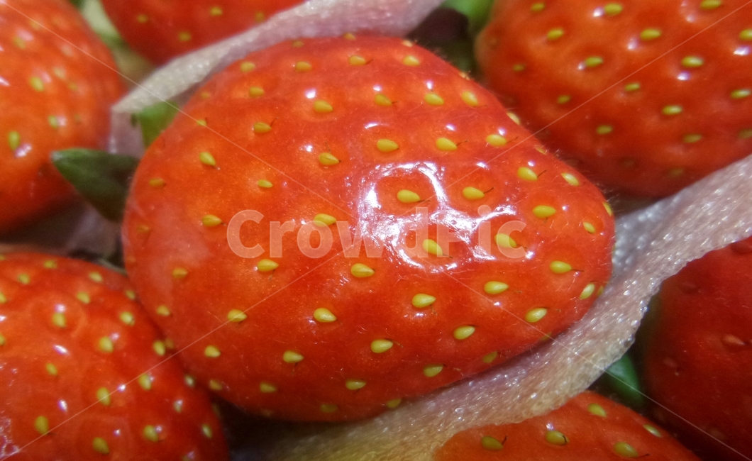 딸기,장미과,여러해살이풀,빨간열매,초매,음식,식재료,요리,food,cook,meal,dishes,food reserves,과일,열매,fruit