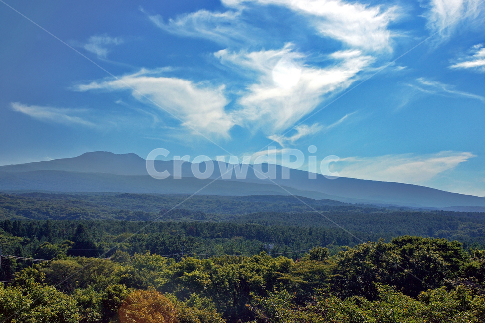 제주도,한라생태숲,한라산,중산간,숲,푸른하늘,구름,자연,자연,풍경,nature,landscape,한국자연풍경,한국자연경관,korea nature landscape,outdoors,옥외,mountain,산,mountain range,산맥