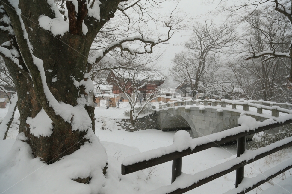 선운사,겨울,눈,사찰,설경,겨울,계절,winter,season,자연,풍경,nature,landscape,한국전통,한국문화,korean traditional,korean culture,outdoors,옥외