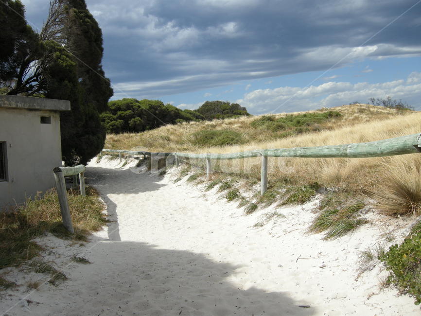 호주,퍼스,로트네스트,rottnest,자연,모래,길,nature,outdoors