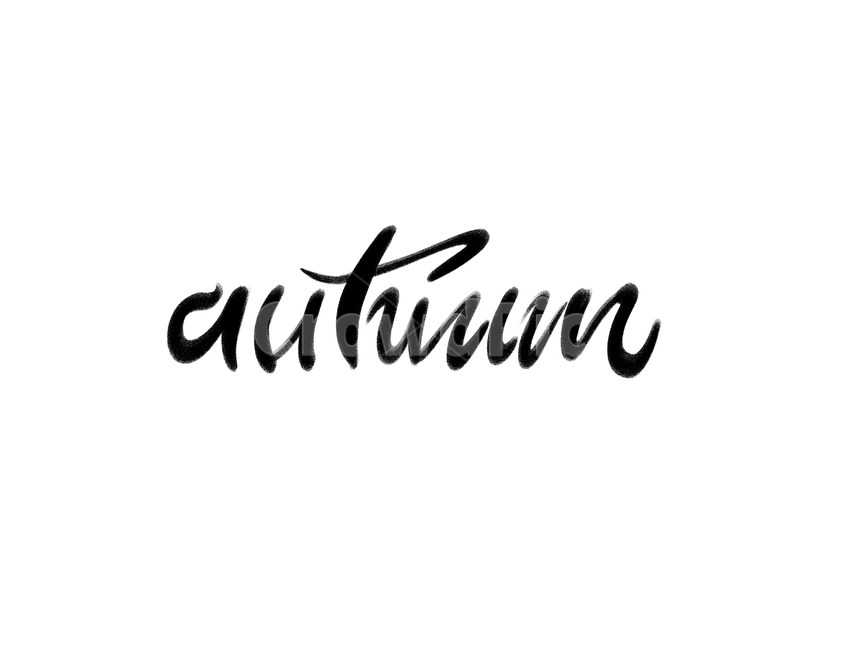 가을,fall,캘리그라피,손글씨,붓글씨,가을,계절,fall,autumn,season,캘리그라피,손글씨,calligraphy