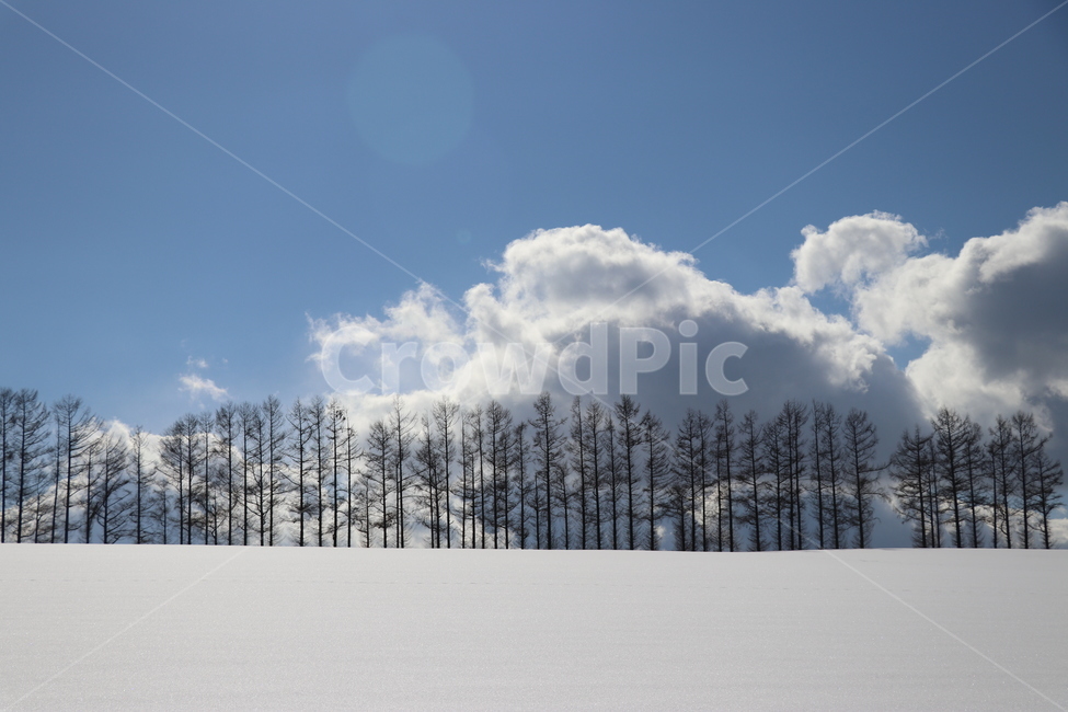 자연,풍경,눈,겨울,겨울풍경,설경,시골,나무,겨울나무,구름,겨울,계절,winter,season,자연,풍경,nature,landscape,weather,날씨,outdoors,옥외