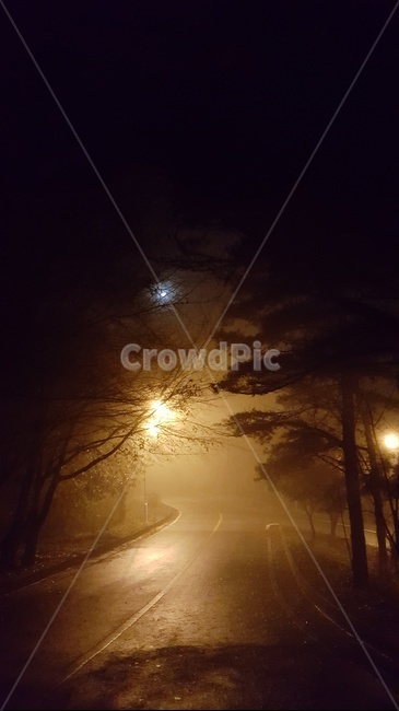 노을,풍경,밤,몽환,안개,fog,night,sunset,정적,streetlamp,나무,tree,가을비,비,rain,가을,landscape