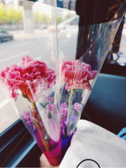 꽃,카네이션,어버이날,부모님은혜,스승의날,기념일,포장,감사,5월,가정의날