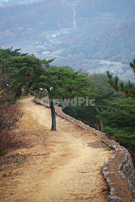 전등사,성,성곽,단풍,낙엽,산성,길,둘레길,숲,숲길,담,돌담,가을,자연,풍경,벽,방어벽,돌,나무,식물,가을,계절,fall,autumn,season,자연,풍경,nature,landscape