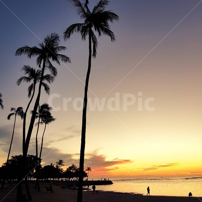 하와이,비치,노을,선셋,휴가,해변,바다,beach,sea,해외,외국,세계,foreign,oversea,world,세계자연풍경,해외자연풍경,외국자연풍경,world nature landscape,여행,휴가,traveling,vacation,trip,summer,여름