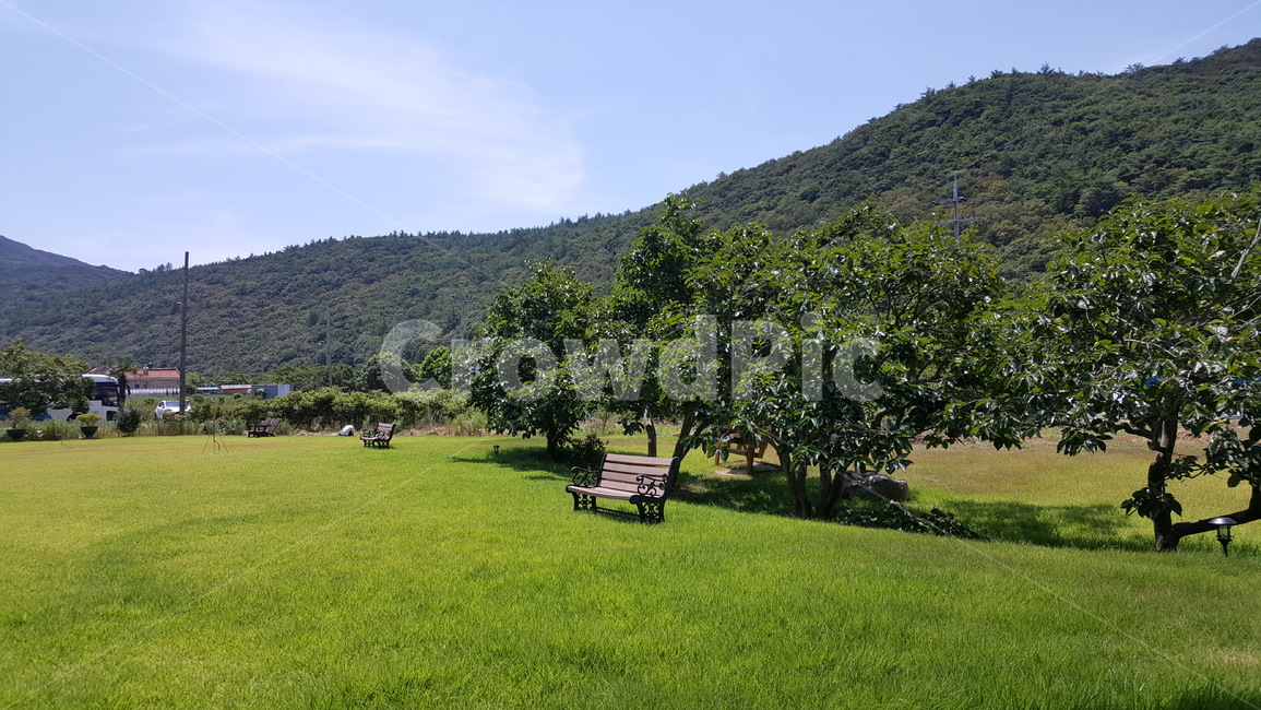 초록,벤치,의자,하늘,자연,자연,풍경,nature,landscape,grass,잔디,plant,식물,bench,outdoors,옥외