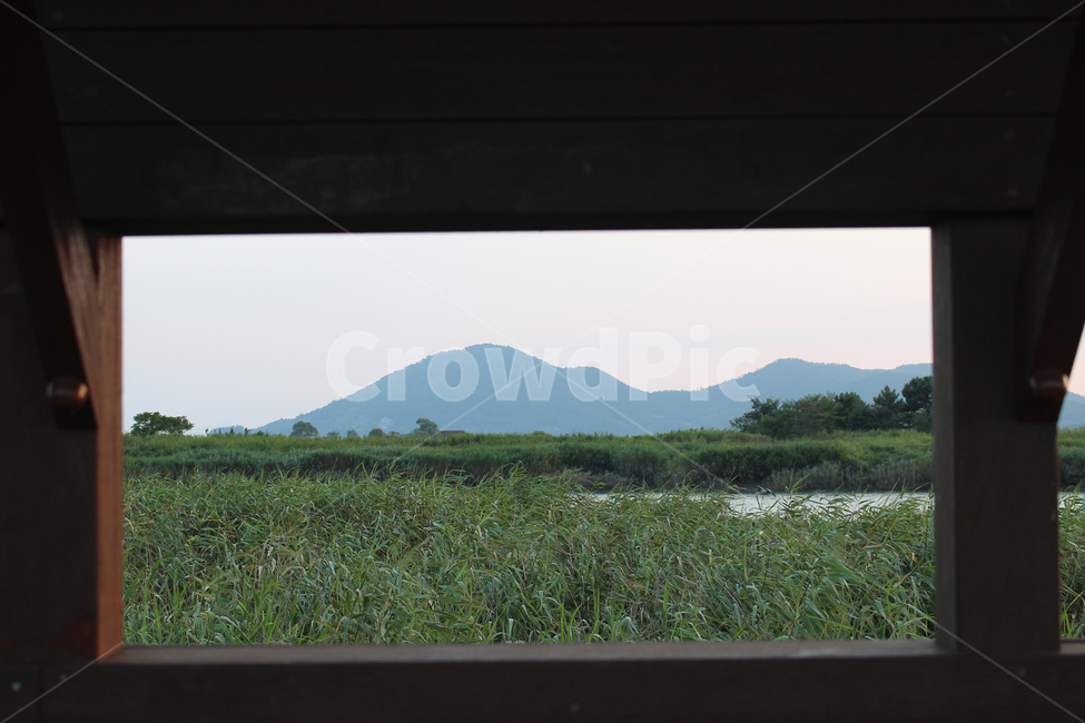 outdoors,옥외,nature,자연,산,forest,나무,tree,강,습지,갈대,river,풍경,자연,풍경,nature,landscape