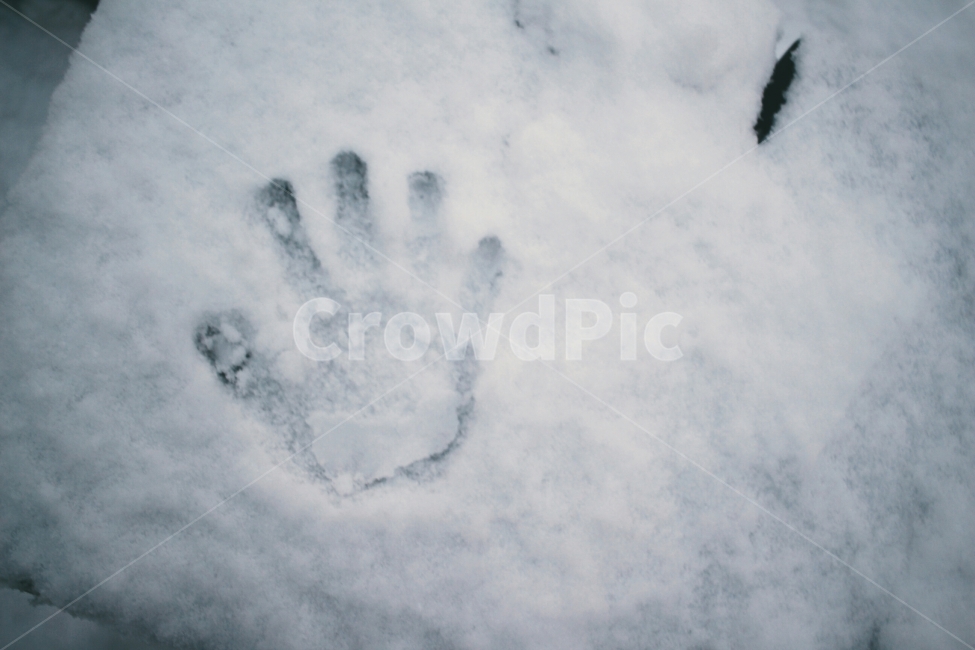 겨울,풍경,눈,첫눈,스냅사진,겨울,계절,winter,season