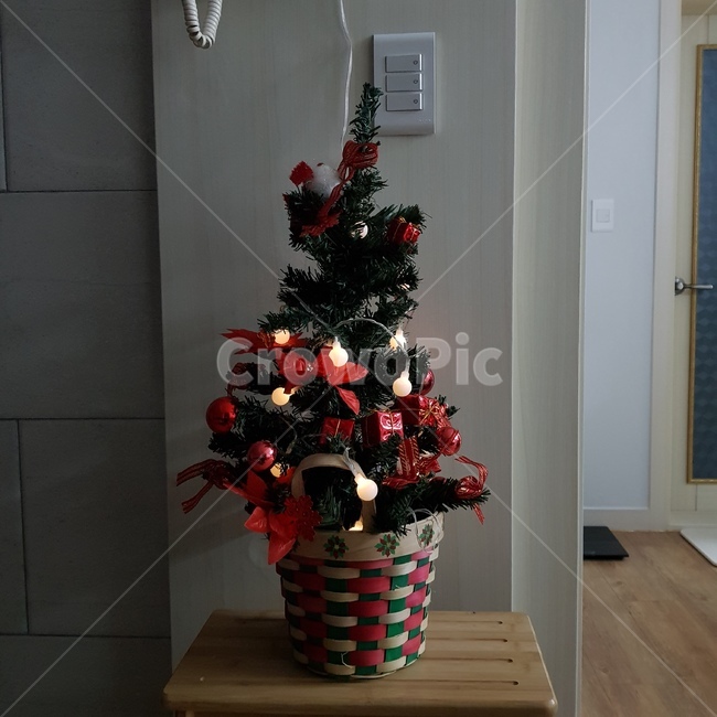 장식,식물,tree,christmastree,크리스마스트리,전구,크리스마스,나무,wood,메리크리스마스,성탄절,merry christmas