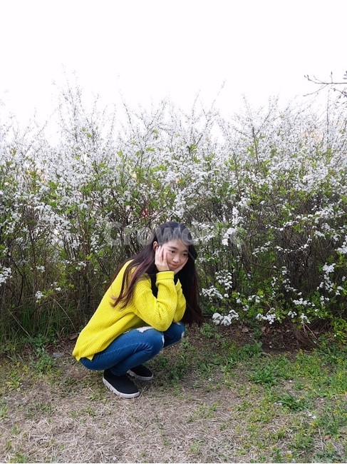 봄,꽃,한강,여자,인물