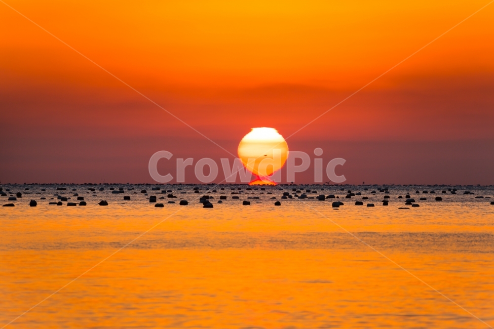 오메가일출,오여사,바닷가,자연,풍경,여수무슬목,자연,풍경,nature,landscape,outdoors,옥외,sky,하늘,dawn,새벽,red sky,붉은 하늘,dusk,황혼,sunset,일몰