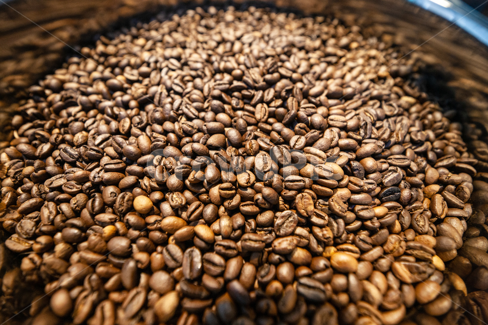 coffee,로스팅,커피,원두,coffeebean,커피콩,커피,카페,coffee,cafe