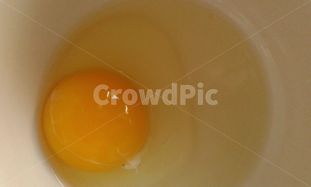 food,음식,egg,계란,달걀,노른자,yellow,음식,식재료,요리,food,cook,meal,dishes,food reserves
