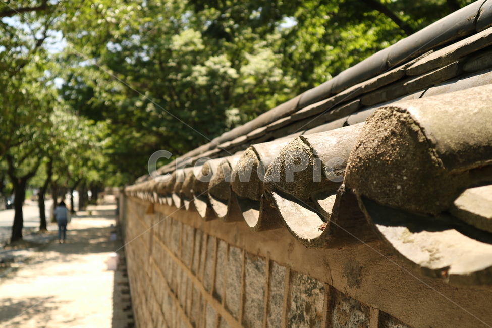 돌담길,나무,햇살,산책,녹색,여행,travel,여행사진,국내여행,혼자여행,배경사진,배경,이쁜사진,색감,색감좋은사진,한국전통,한국문화,koreantraditional,koreanculture