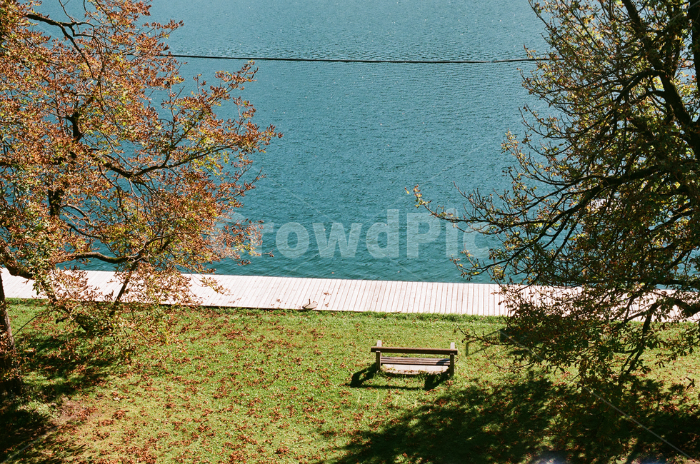 감성,나무,호수,햇빛,벤치,blue,bench