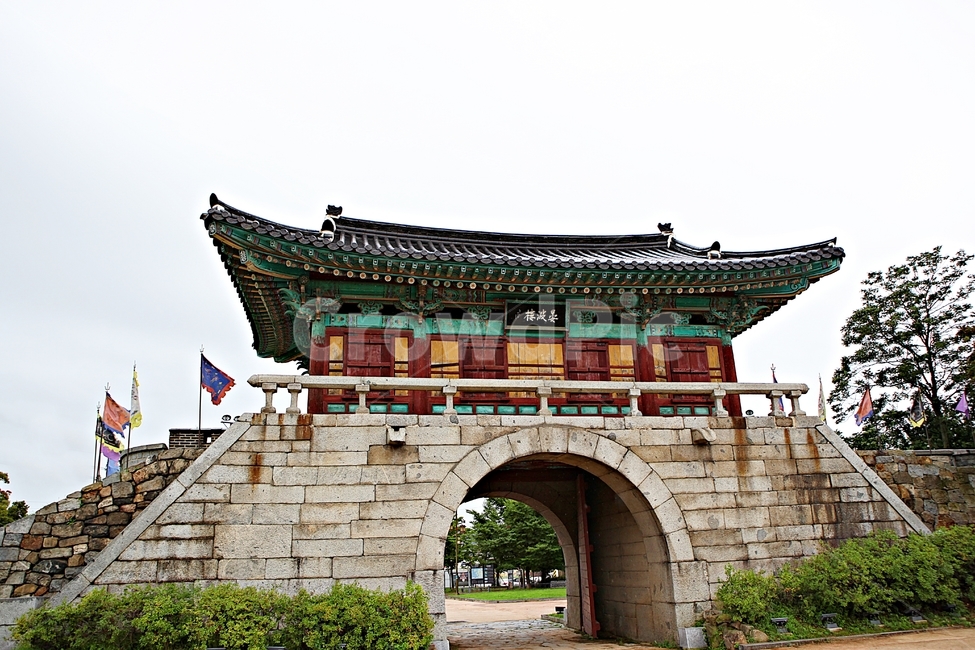강화남문,성곽,옛성터,담,돌담,벽,풍경,식물,나무
