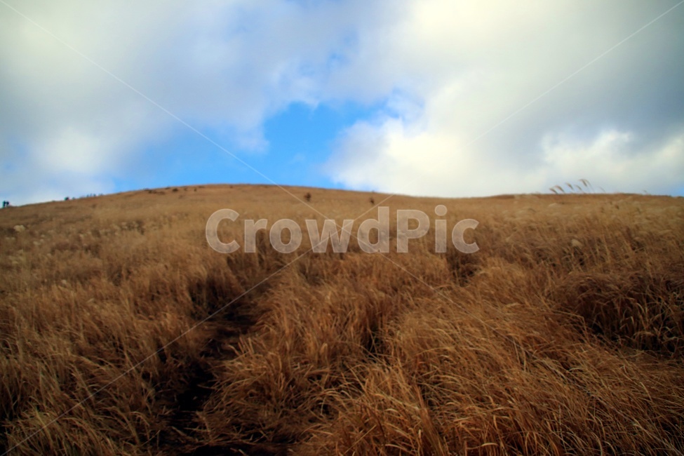 하늘,구름,해,태양,배경,풍경,감성,자연,풍경,nature,landscape,outdoors,옥외,grassland,목초지,field,들