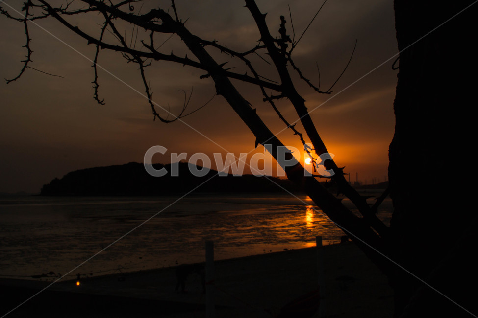 자연,일몰,하늘,햇빛,sunlight,sunset,sky