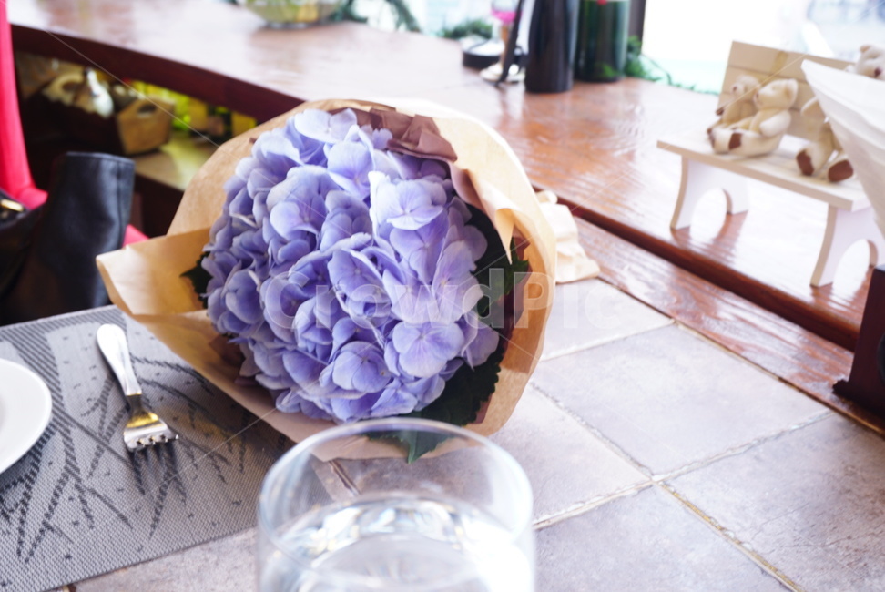 수국,인테리어,flower,꽃,꽃다발,꽃,flower,기념일,축하,anniversary,congratulation,celebrate,celebration