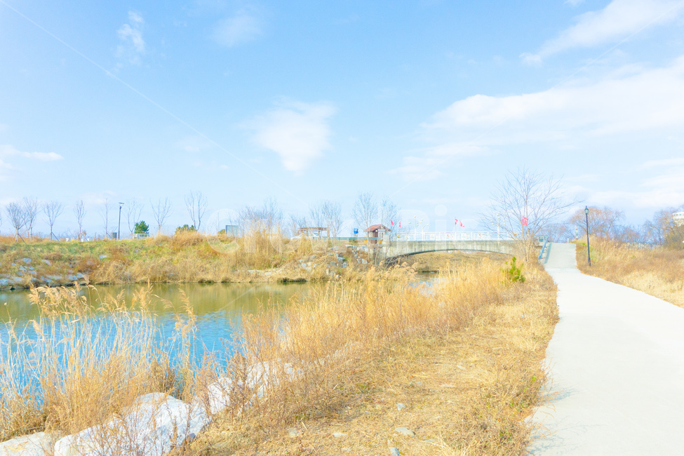 자연,nature,물,water,lake,호수