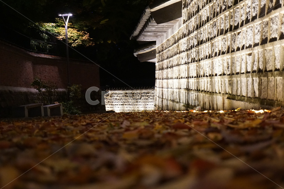 덕수궁돌담길,야경,골목,영국문화원,덕수궁,가을,가을,계절,fall,autumn,season,야경,밤,풍경,nightscape,night,landscape,골목길,alley,한국전통,한국문화,korean traditional,korean culture