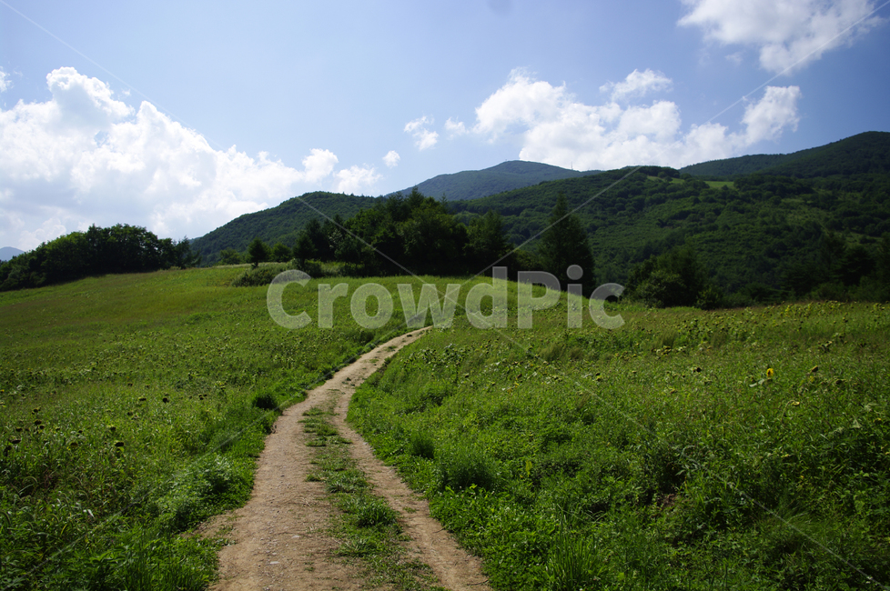 하늘,구름,풍경,자연,식물,나무,tree,nature,목초지,grassland,들,자연,풍경,nature,landscape