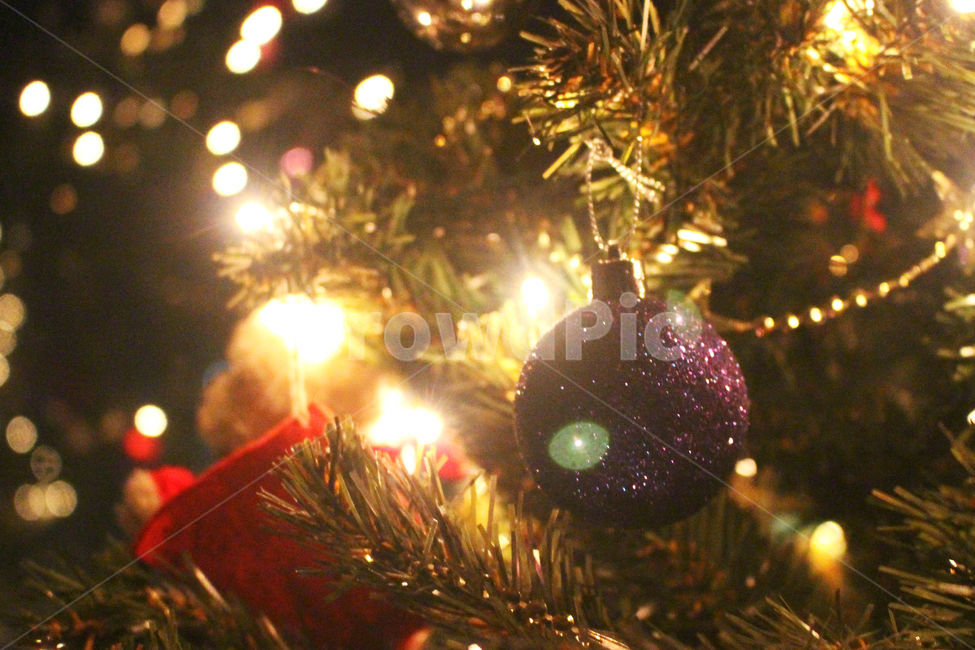 크리스마스,크리스마스트리,크리스마스장식,성탄절,감성사진,christmas,메리크리스마스,체크,빨강,빨간색,초록,초록색,tree,red,green,빛