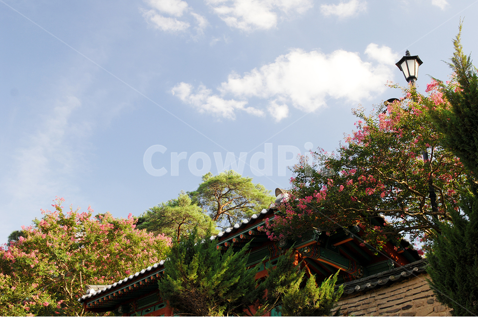 도동서원,자연,풍경,구름,백일홍,한국전통,한국문화,korean traditional,korean culture,건축물,건물외관,exterior,building,structure,architecture,construction