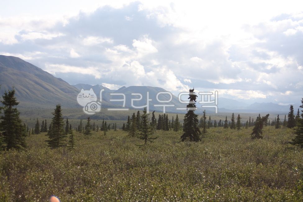 cloud,tundra,mountain,Denali National Park,nature,trekking,alaska,sight,Alaska,denalinationalpark