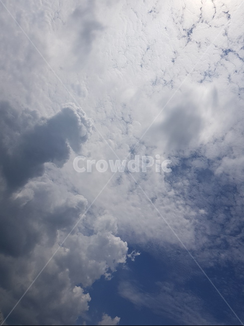 구름,하늘,파란하늘,뭉게구름,하얀구름,cloud,sky,파란색,하얀색,흰색,blue,bluesky,white