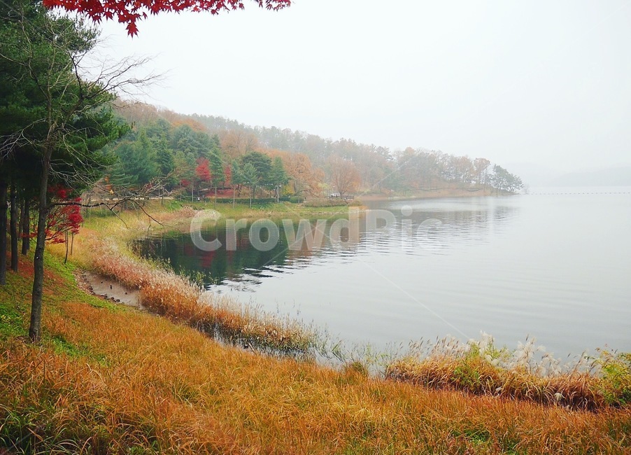 청남대,풍경사진,가을,가을사진,경치,가을,계절,fall,autumn,season,자연,풍경,nature,landscape,water,물,outdoors,옥외