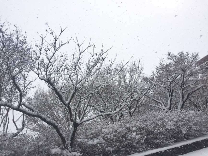눈,자연환경,겨울,계절,자연풍경,겨울,계절,winter,season