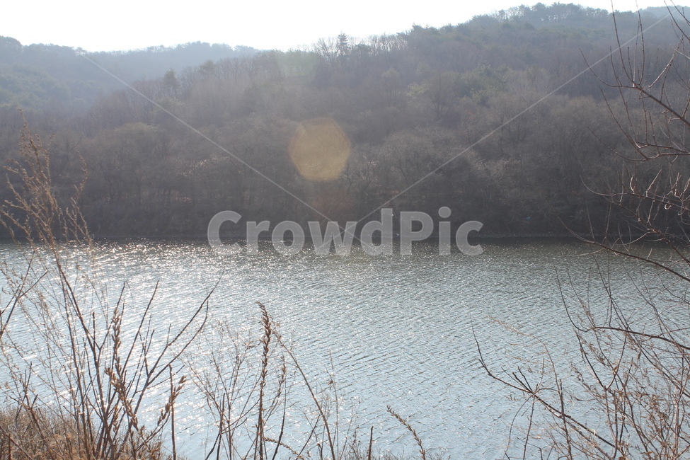 강,풍경,강가풍경,물,자연,자연,풍경,nature,landscape,outdoors,옥외,water