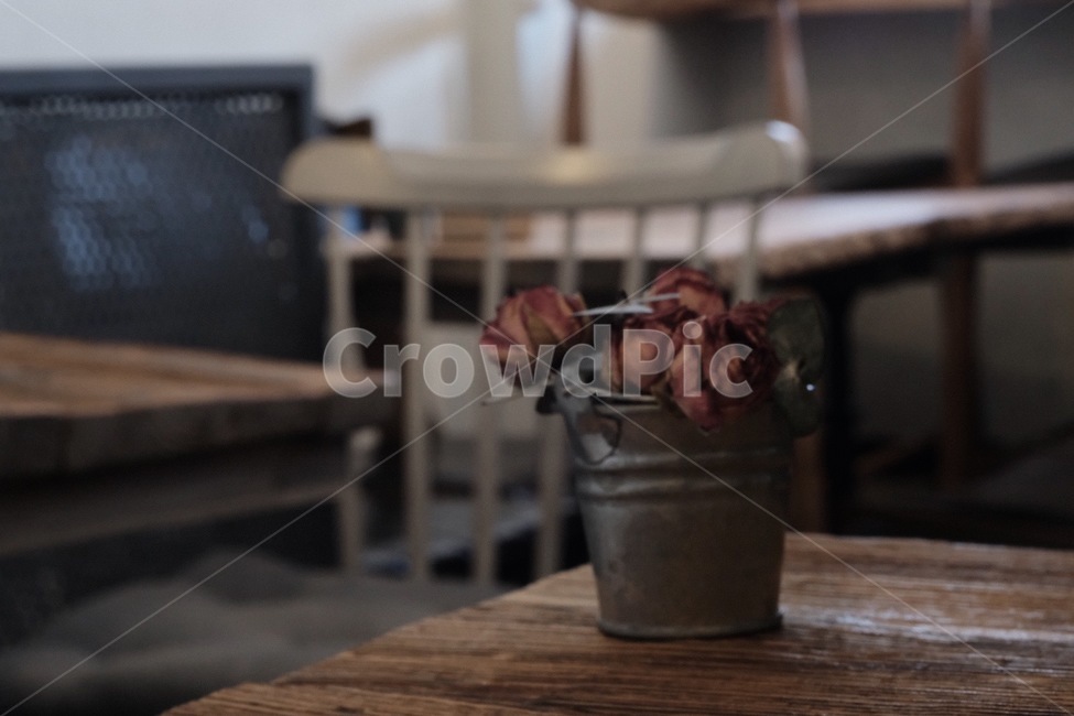 카페,인테리어,cafe,interior,dryflower,감성,색감,꽃,flower,실내용화초,화분,화초,house plant,인테리어,실내디자인,interior design