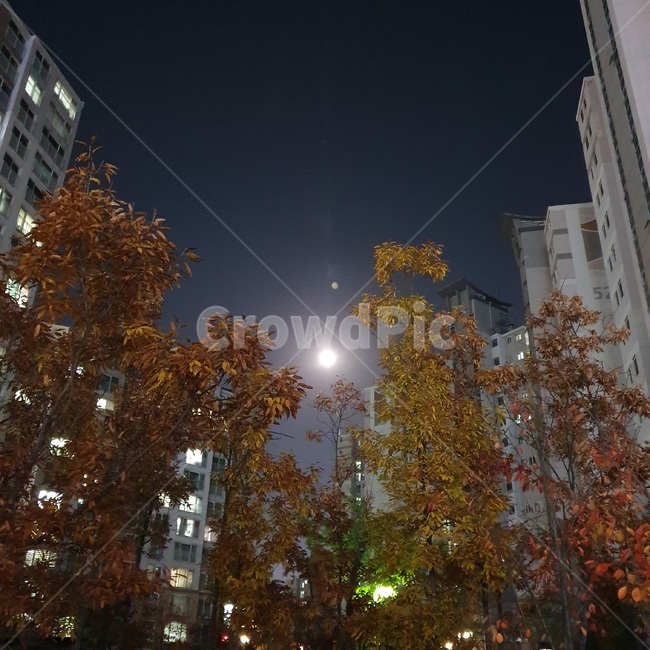 outdoors,옥외,nature,자연,달,달빛,보름달,하늘,밤하늘,밤,night,야경,감성,저녁