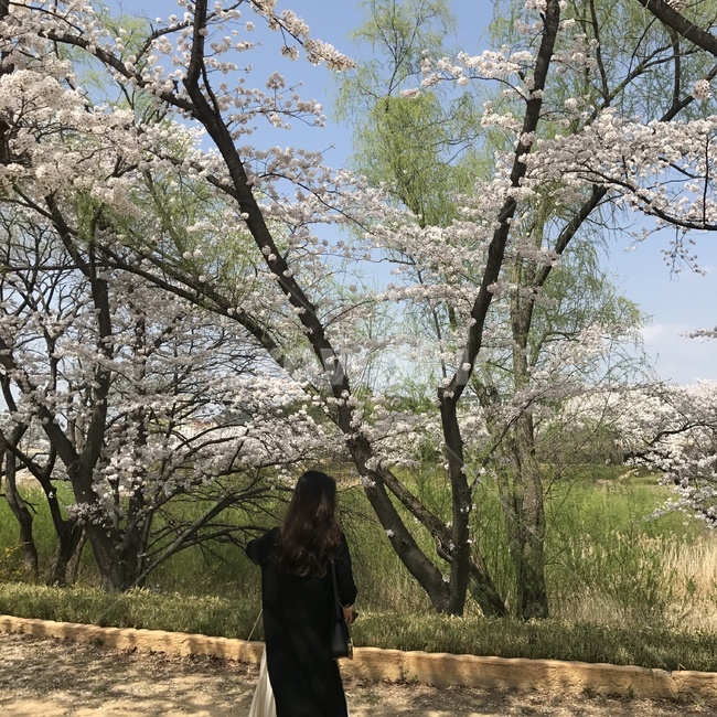뒷모습,여자뒷모습,여자친구,긴머리여자,긴생머리,풍경,여행,감성,봄,계절,spring,season,사람,인물,인간,human,person,여성,여자,woman,female,lady,plant,식물